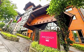 Prodigy Gramado